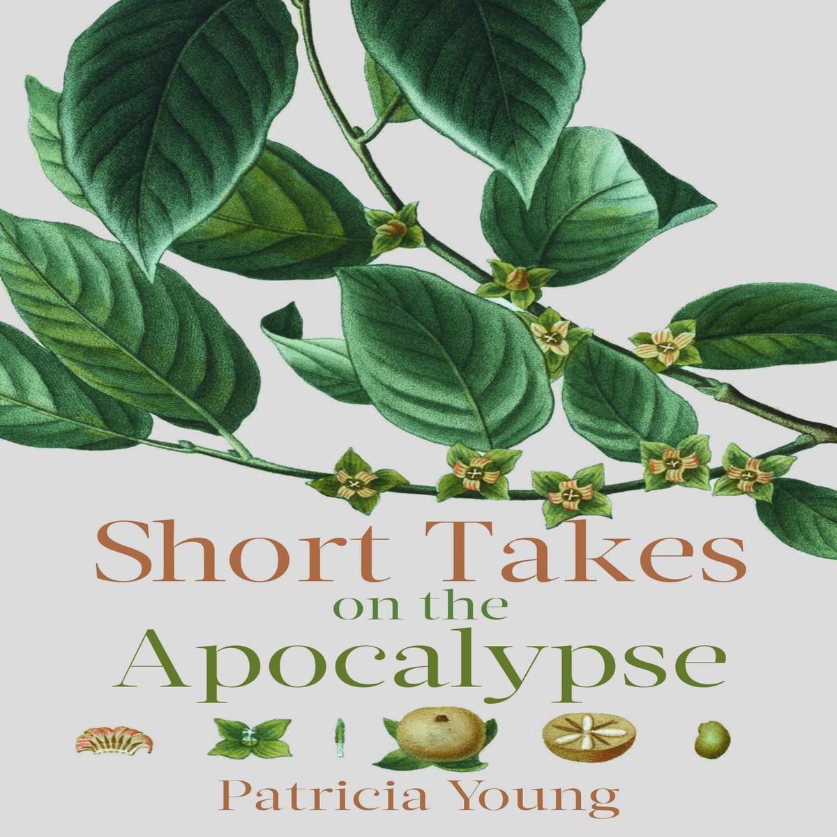 Short Takes on the Apocalypse