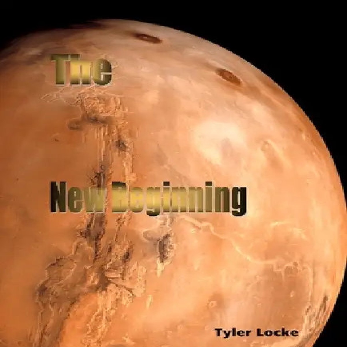 The New Beginning - Paperback