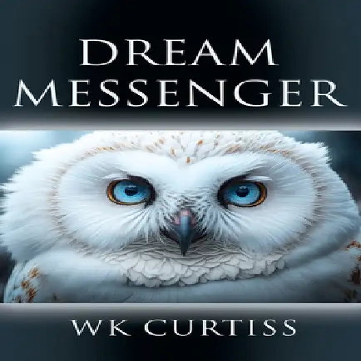 Dream Messenger - Paperback