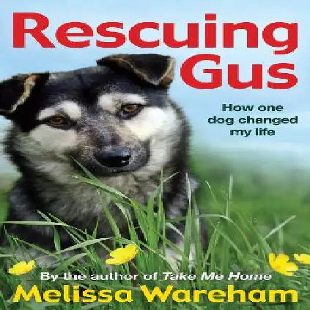 Rescuing Gus - Paperback