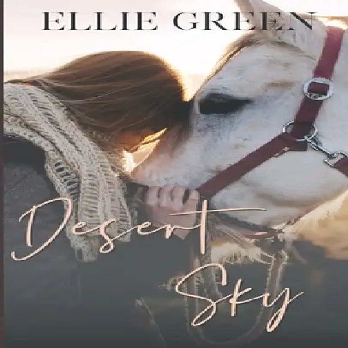 Desert Sky - Paperback