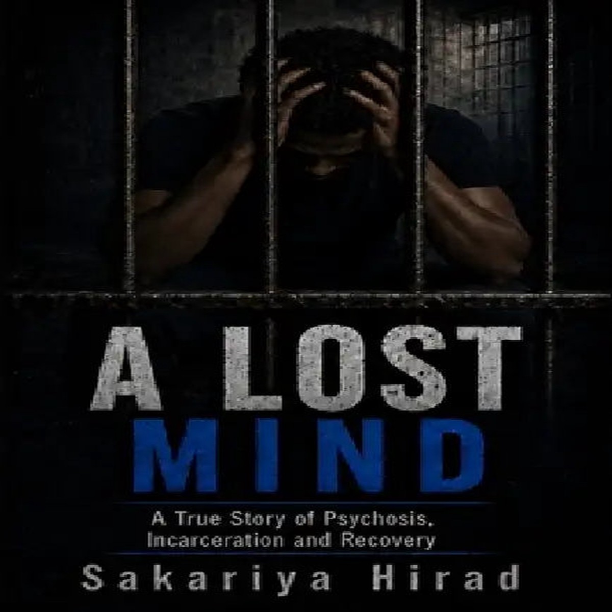 A Lost Mind - Paperback