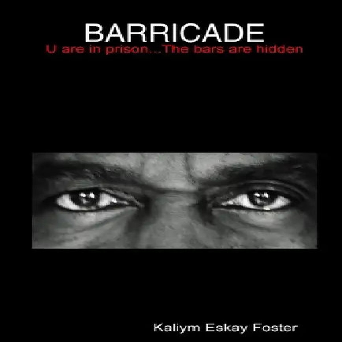Barricade - Paperback