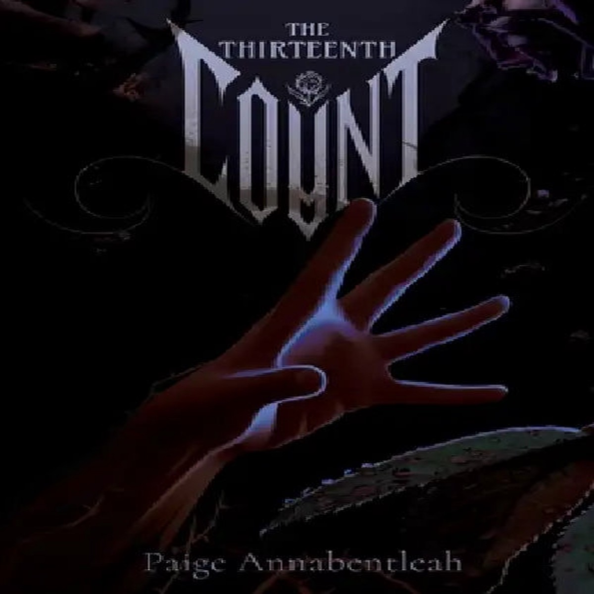 The Thirteenth Count - Paperback