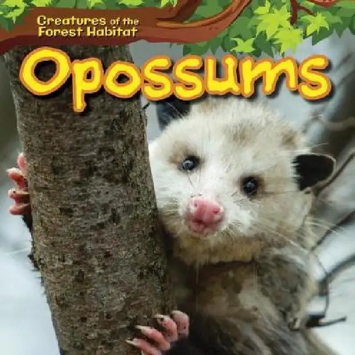 Opossums - Paperback