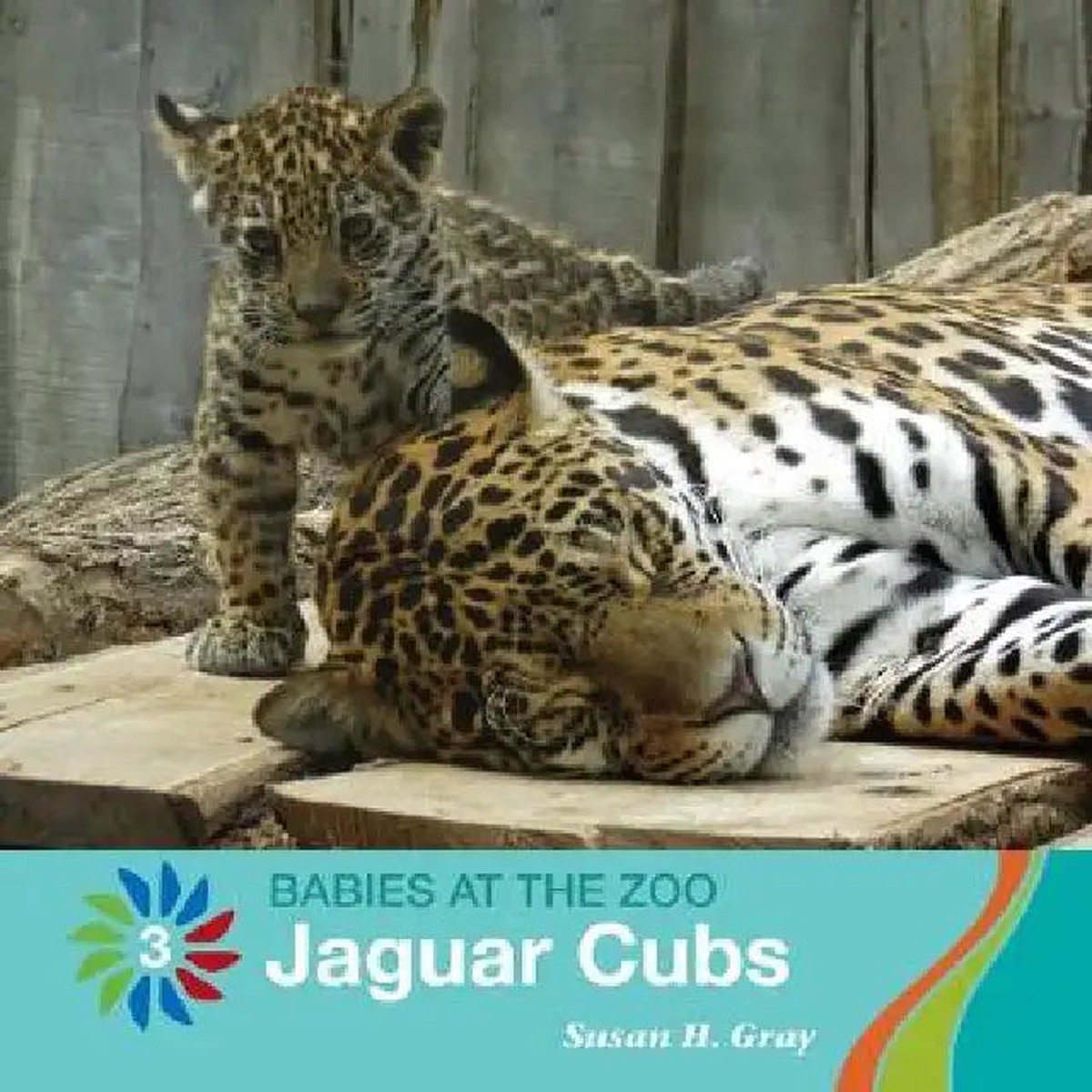 Jaguar Cubs - Paperback