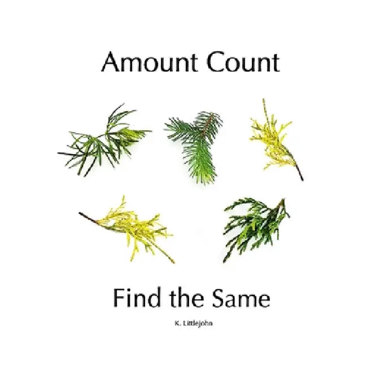 Amount Count Find the Same - Paperback