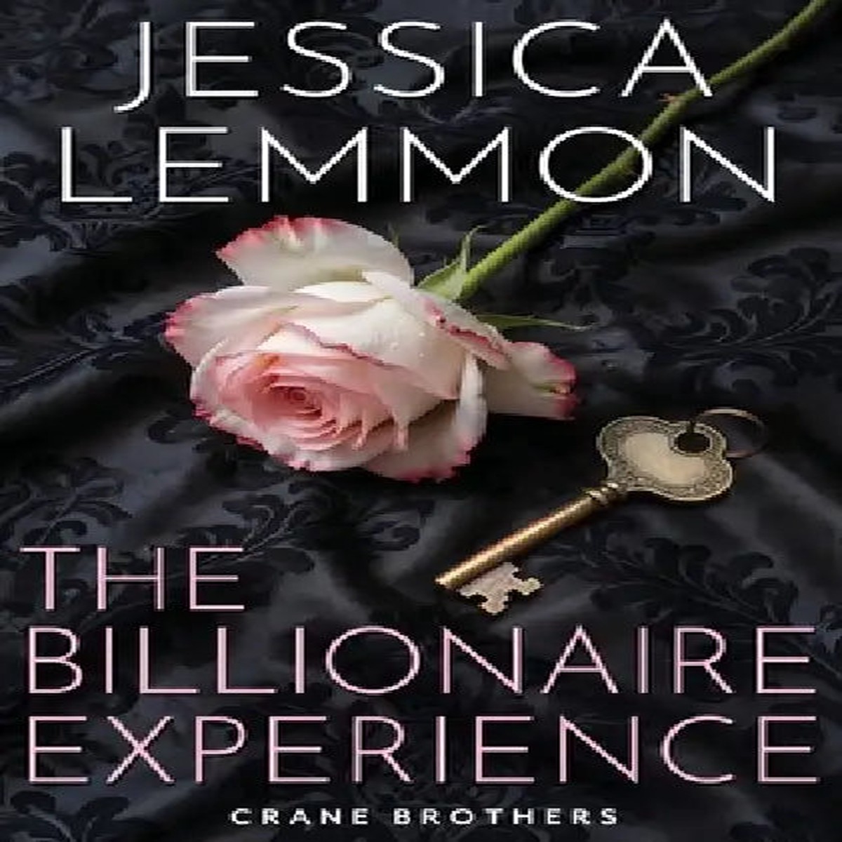 The Billionaire Experience - Paperback