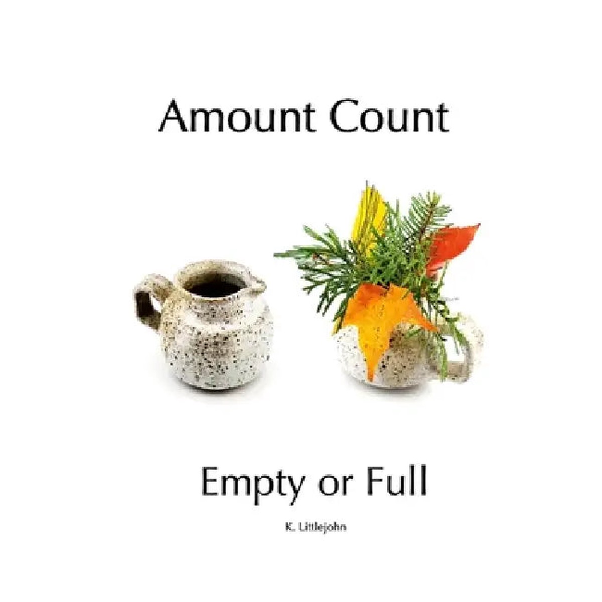 Amount Count Empty or Full - Paperback