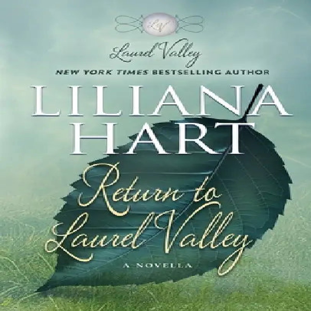 Return to Laurel Valley - Paperback