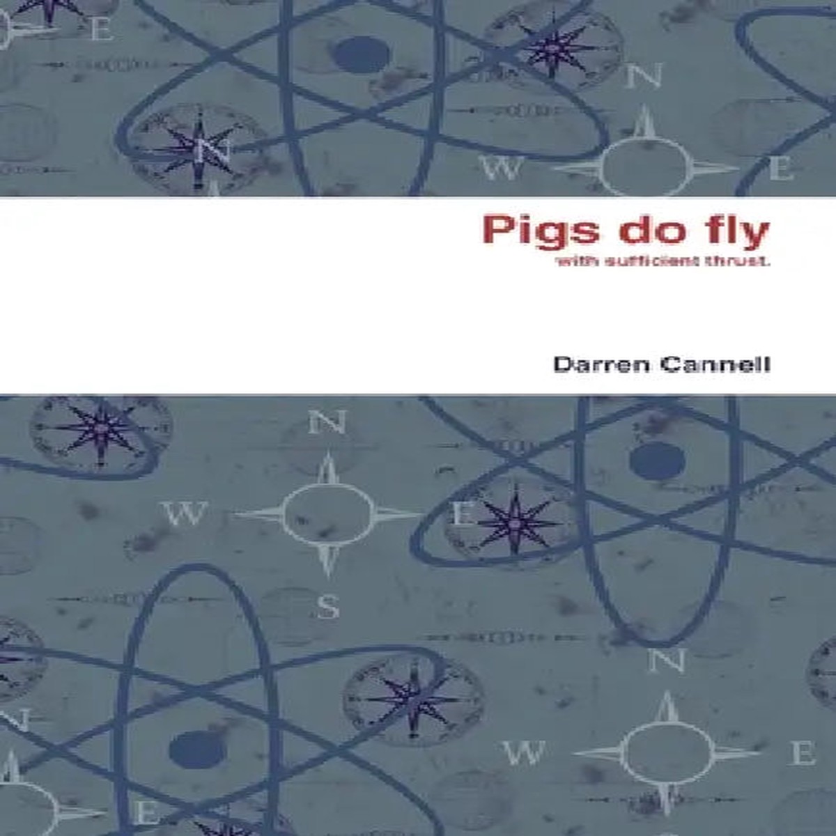 Pigs do fly - Paperback