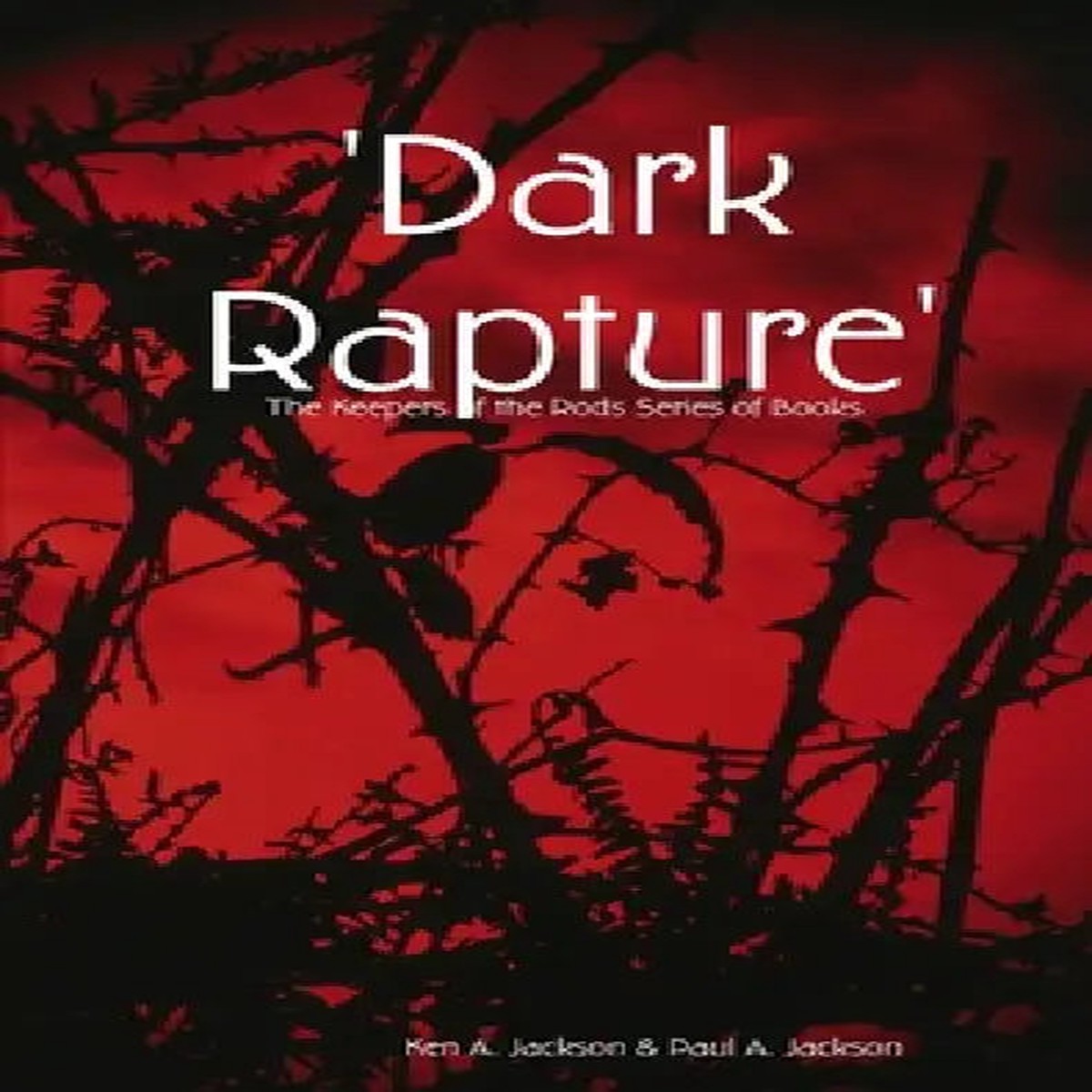 'Dark Rapture' - Paperback