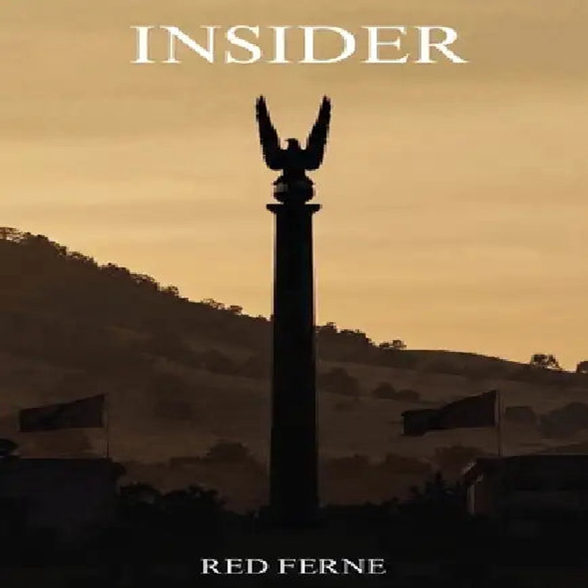 Insider - Paperback