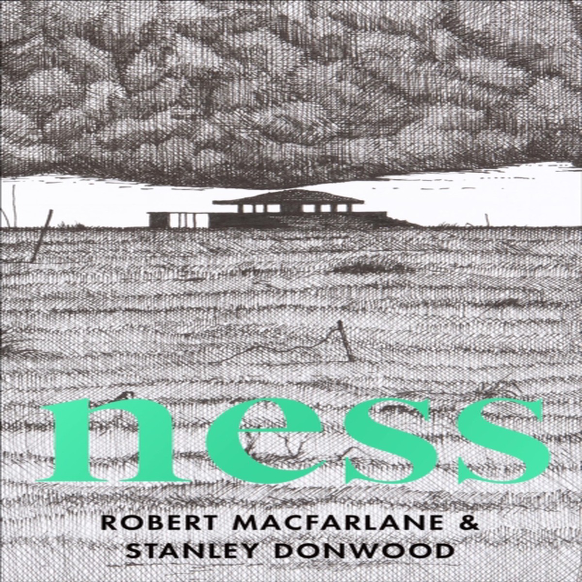Ness 9780241986370 Paperback
