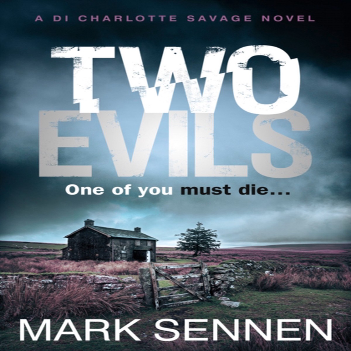 Two Evils 9780007587889 Paperback